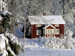 metal-roof-snow-guards